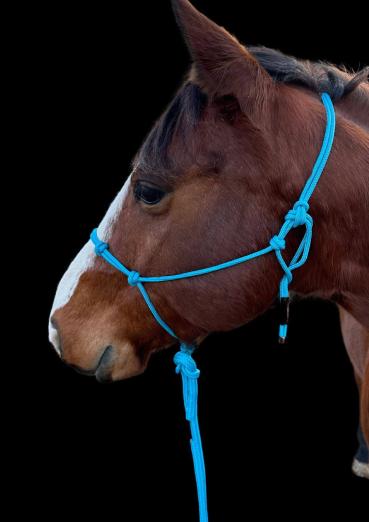 Knotenhalfter Set - "4/Kn Signal - Knotenhalfter" und 4,20 m Lead-Rope, Fb. Meerblau