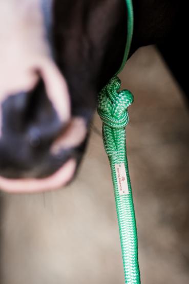 Lead-Rope / Bodenarbeitsseil - Länge 4,20 m - PROFI TRAINER Qualität 14mm