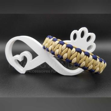 Halsband Rigid Dragon, Modell "Ben" Gr. 25