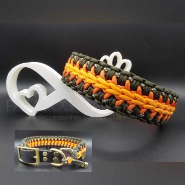 Halsband/Leinen - Set "Aiki"