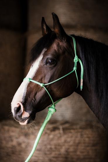 Knotenhalfter Set - "4/Kn Signal - Knotenhalfter" und 4,20 m Lead-Rope, Fb. Bright Minze